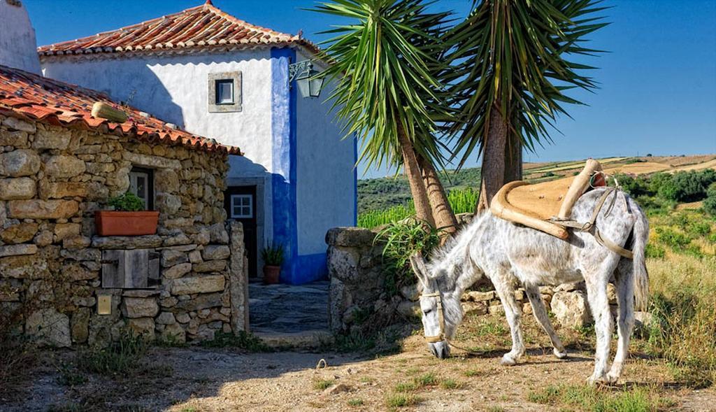 Hotel Aldeia Da Mata Pequena Mafra Pokoj fotografie
